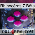 Rhinocéros 7 Bêta 02